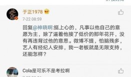 娱乐圈吃瓜专业术语,揭秘明星幕后故事与八卦风云